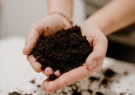 Jak przygotować ziemię na nowy sezon?