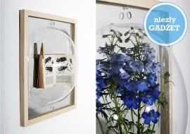 eksponowanie, dom, kolekcje, jak wyeksponować, showcase mirror