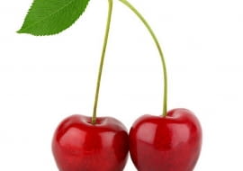 Wiśnia. Aby drzewo owocowało, musi być dobrze odżywione