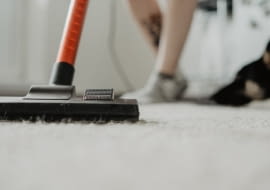 Odkurzacz Karcher WD3 - najważniejsze funkcje, o których musisz wiedzieć