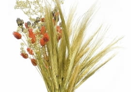 Nie pozwólmy latu odejść na tak długo. Zachowajmy wspomnienie o nim nie tylko w fotograficznych albumach, ale także w... wazonach. Przygotujmy suche bukiety - niech przez resztę roku przypominają o słońcu i wakacjach. <BR />Suszyć można w zasadzie wszystko, co wpadnie nam w ręce w ogrodzie lub na łące. Oprócz gatunków wspomnianych niżej - m.in. róże, suchołuski, ostróżki, zatrwiany, wrotycz, krwawniki, wieczniki, chabry, celozję, czarnuszkę damasceńską, rozchodniki i oczywiście trawy i zboża. <BR />Czas zbierania. Kwiaty nie powinny być zupełnie rozwinięte, trawy ścinamy przed pyleniem (warto więc zebrać je we wcześniejszych miesiącach). Nie zrywajmy roślin w deszczowe dni ani o poranku, gdy jest rosa, bo wtedy zgniją. <BR />Metody suszenia. Najprostsza jest tzw. zielarska: rośliny związane w pęczki wieszamy do góry nogami w przewiewnym, zacienionym miejscu (w słońcu szybko zblakną kolory). Gatunki o sztywnych pędach (m.in. pałka wodna, czosnek) dobrze zaschną w naturalnej pozycji. Inne (np. gipsówkę, lawendę, hortensję) można zostawić w wazonie z niewielką ilością wody. Paprocie i trawy przekładamy bibułką i obciążamy grubą książką. Inne metody są bardziej pracochłonne. Pojedyncze koszyczki kwiatów (np. kacanek), szyszki i strąki suszy się na rozpiętej siatce lub firance. Jeżeli zależy nam na zachowaniu kształtu i koloru dużych kwiatów (dalia, malwa, róże), wstawiamy je do pojemnika łodygami do góry i zasypujemy piaskiem. <BR />Utrwalanie. Najlepiej zrobić to w roztworze składającym się mniej więcej z 2/3 wody i 1/3 gliceryny (kąpiel powinna trwać 5-7 dni). Tak zakonserwowane rośliny nie będą się kruszyć ani łamać, zachowają również kolory (przebarwią się tylko zielone części).