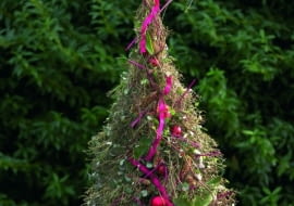 Nietypowa miniaturowa choinka