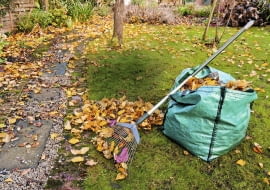 Razem z liśćmi niechcący wygrabiamy żwir.