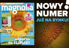 Magazyn Magnolia