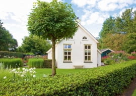 DHouse with a front garden and ball tree, Tilia cordata Green Globe
