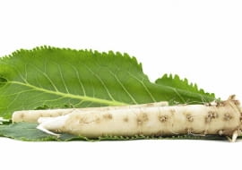 Chrzan - przybysz ze wschodu