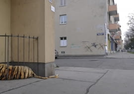 "Zoo" Wiedeń, Austria 2014