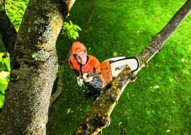 Podkrzesywarka spalinowam cicha i wydajna, do pielęgnacji drzew z poziomu ziemi do wysokości 5m, Stihl/Fot.: mat. pras.