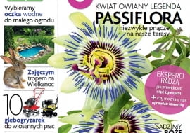 Okładka miesięcznika Magnolia 04/2013