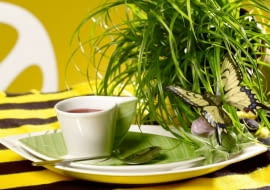 25.04.2008 WARSZAWA SESJA TRAWA NZ WNETRZA JADALNIA I POKOJ DZIENNY , FILIZANKA STYLIZACJA AGATA DAWIDCZYK DLA CZASOPISMA CZTERY KATY FOT. ARKADIUSZ SCICHOCKI / AGENCJA GAZETA PUBLIKACJA CZTERY KATY NR 8 (202) - 8 2008