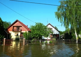 Nebojsa Markovic shutterstock