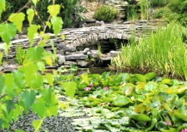 Ogród w Młodzawach Małych k. Pińczowa