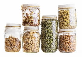 Kiełki, pszenica, ciecierzyca, zielona soczewica, czerwona soczewica, żółta soczewica, rzodkiewka