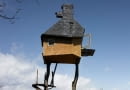 Treetop Tea House