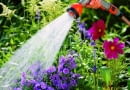 Nie ma to jak chłodny, życiodajny prysznic po suchym, upalnym dniu. Może to nam zapewnić pomocna dłoń sąsiada, firma ogrodnicza lub wielofunkcyjny sterownik do nawadniania ogrodu.