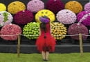 United Kingdom, London : A visitor stops to look at a flower display at the Royal Horticultural Society's Chelsea Flower Show in London on 19 May, 2014. ******* RHS / Justin Tallis / 19.5.14 SLOWA KLUCZOWE: RHS Chelsea Flower show