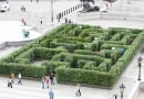 Zielony labirynt na Trafalgar Square w Londynie