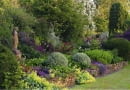 A colourful border of Alchillea, Heuchera, Bergenia and roses with Euonymus fortunei balls - Whichford House story SLOWA KLUCZOWE: Alchemilla mollis August Ball Beet B lle Euonymus Farbe Figur Garten Heuchera Kugel Kugeln Land Laub Purpurgl^ckchen Rosa Sommer Spindelstr ucher Statue Topiari Topiary englisch englische uk