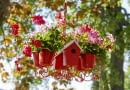 Pelargoniowy żyrandol z domkiem dla ptaków i owadów