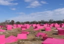Pink Project