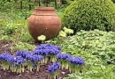 28.04.2003 HOLANDIA WYJAZD BIURO CEBULKOWE HOLANDIA OGROD PRYWATNY ALDENHAEVE WLASCICIEL PANSTWO SIEBELINK KRZEWY LISCIASTE BUKSZPAN BUXUS BYLINY ROSLINY CEBULOWE IRYS IRIS CERAMIKA GLINA AMFORA FOT PAWEL SLOMCZYNSKI / AGENCJA GAZETA