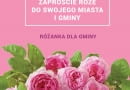 Różanka dla gminy