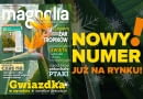 Magazyn Magnolia