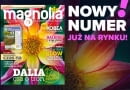 Magazyn Magnolia