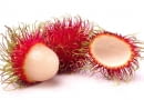 Rambutan