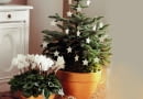 <01AR8KVB - A small christmas tree decorated with white stars