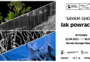 Jak powraca las?
