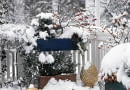 BALKON IM WINTER MIT BUCHSBAUM KASTEN: WACHOLDER, FICHTE, ZIERAPFEL, COTONEASTER SLOWA KLUCZOWE: quer ZZZ gesamt GAP Laubgeh^lze 000 Winter Schnee Geh^lze Picea Zierapfel drau?en Balkon Balkonkasten Topf BALKONGELfNDER