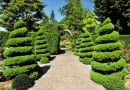 Dekoracyjnie uformowane krzewy to atrakcja wielu historycznych parków.