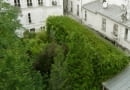 "Lost in Paris" House, francja, paryż, architektura ekologiczna, dom jednorodzinny
