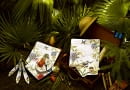Kolekcja porcelany Villeroy & Boch, Amazonia