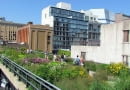 Park miejski na wiadukcie kolejki. High Line Park na Manhattanie