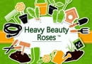 Heavy Beauty Roses