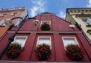 Burza czerwonych pelargonii na fasadzie zabytkowej kamienicy - jak widać, nie trzeba balkonu, aby wyeksponować urodę kwiatów.