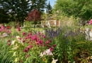 Imponująca rabata przed domem, a na niej urokliwe pysznogłówki, kopry włoskie 'Bronze', przetaczniki kłosowe 'Christa' i lilie orientalne to dopiero zapowiedź bogactwa tutejszej roślinności.
