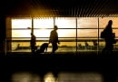 Wakacyjna pamiątka może Cię zatrzymać na lotnisku. Uwaga na rośliny z zagranicy