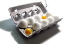SMART EGG projektu Joonsoo Kim.