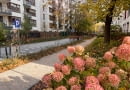 Nowy woonerf na ul. Brandysa