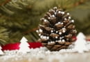 Ozdoby z szyszek