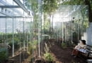 Pawilon na biennale w Wenecji. Proj. junya.ishigami + associates