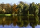 28.10.2003 KORNIK KOLO POZNANIA ZAMEK Z ARBORETUM PARK KORNICKIE KORNICKI JESIEN ZIELEN OGROD JEZIORKO WODA STAW ZBIORNIK WODNY OCZKO WODNE