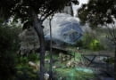 zoo vincennes