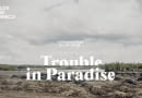 Trouble in Paradise - online meetings