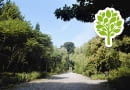 Arboretum Czarnca