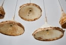 Seria Mycelium + Timber: lamp i meble z grzybów i drewna