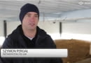 Panele fotowoltaiczne pod lupą ekspertów od pożarnictwa
